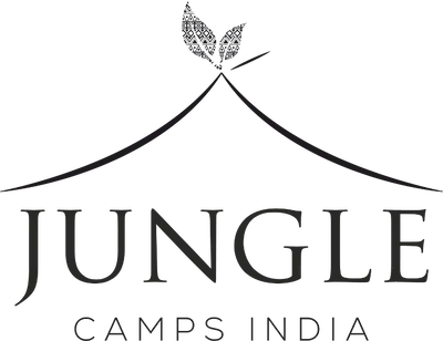 Jungle Camps India
